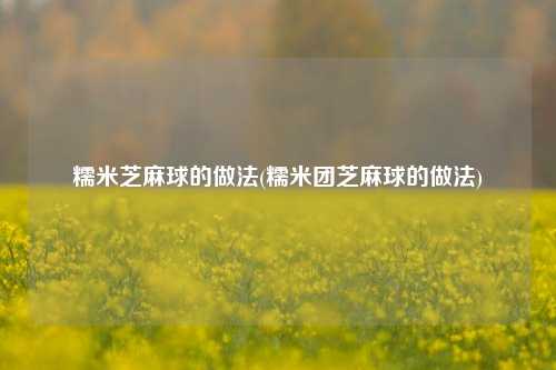 糯米芝麻球的做法(糯米团芝麻球的做法)