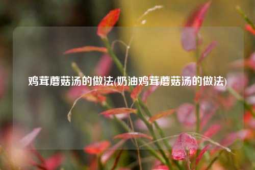 鸡茸蘑菇汤的做法(奶油鸡茸蘑菇汤的做法)