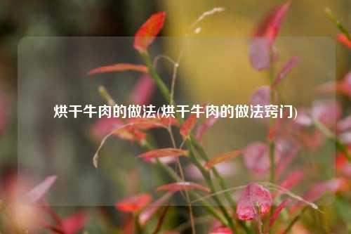 烘干牛肉的做法(烘干牛肉的做法窍门)