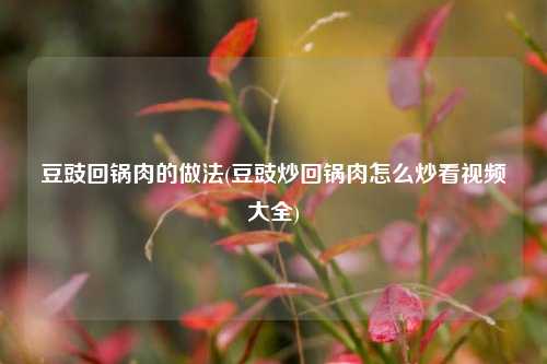 豆豉回锅肉的做法(豆豉炒回锅肉怎么炒看视频大全)