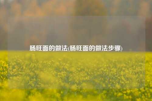 肠旺面的做法(肠旺面的做法步骤)