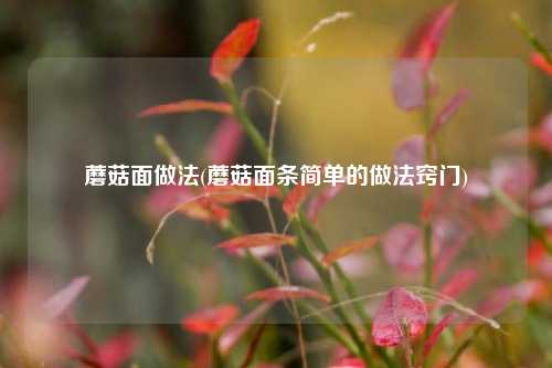蘑菇面做法(蘑菇面条简单的做法窍门)