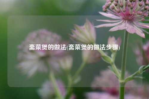 斋菜煲的做法(斋菜煲的做法步骤)
