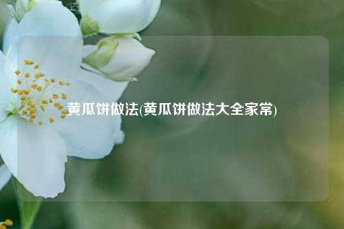 黄瓜饼做法(黄瓜饼做法大全家常)