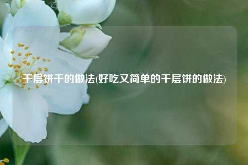 千层饼干的做法(好吃又简单的千层饼的做法)