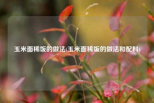玉米面稀饭的做法(玉米面稀饭的做法和配料)