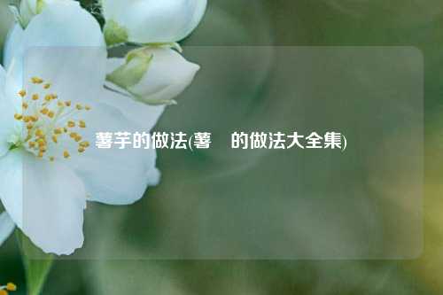 薯芋的做法(薯粄的做法大全集)