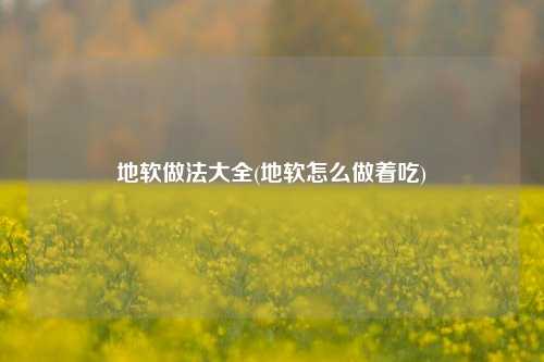 地软做法大全(地软怎么做着吃)