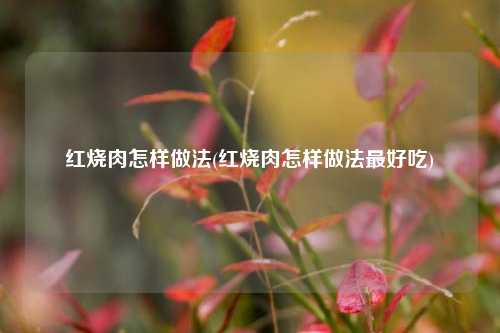 红烧肉怎样做法(红烧肉怎样做法最好吃)