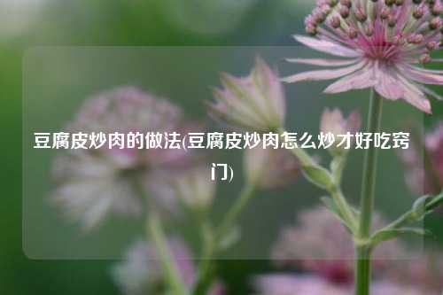豆腐皮炒肉的做法(豆腐皮炒肉怎么炒才好吃窍门)