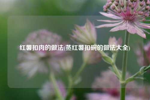 红薯扣肉的做法(蒸红薯扣碗的做法大全)