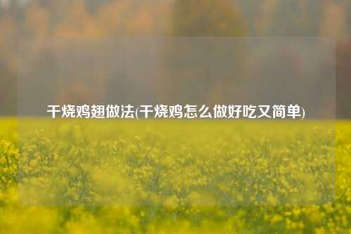 干烧鸡翅做法(干烧鸡怎么做好吃又简单)