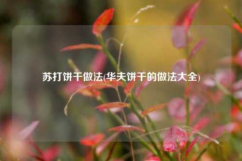 苏打饼干做法(华夫饼干的做法大全)